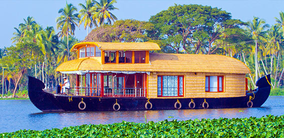 Kerala-Something New
