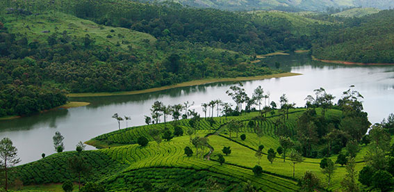 kerala-Come fall in love